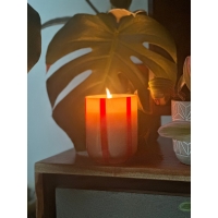 Orange Blossom & Basil Φυτικό Κερί 280gr, Atina - Maegen