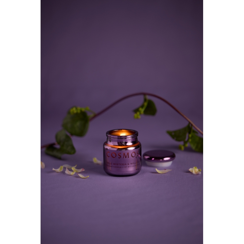 Wisteria Willow Φυτικό Κερί 70gr σε μωβ γυάλινο δοχείο με καπάκι, Chroma - Paddywax