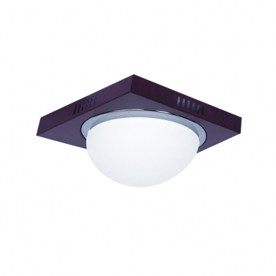 3083F Φ34 TECO,WOOD-CHROME CEILING Β4 3083F Φ34 TECO,WOOD-CHROME CEILING Β4