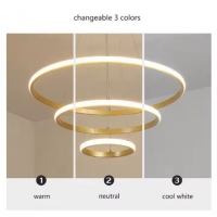 SE LED 60 DAMITA GOLD PENDANT 60x40x20cm 57W 3CCT WITH MEMORY IP20 2 YEARS WARRANTY A2 SE LED 60 DAMITA GOLD PENDANT 60x40x20cm 57W 3CCT WITH MEMORY IP20 2 YEARS WARRANTY A2
