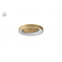 SE LED 60 AMAYA CEILING BRUSHED GOLD Δ3 SE LED 60 AMAYA CEILING BRUSHED GOLD Δ3