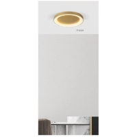 SE LED 60 AMAYA CEILING BRUSHED GOLD Δ3 SE LED 60 AMAYA CEILING BRUSHED GOLD Δ3