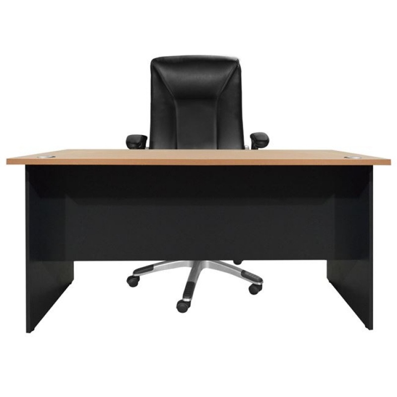 ΓΡΑΦΕΙΟ ΕΠΑΓΓΕΛΜΑΤΙΚΟ ABELINA 150x75x75 HM2016.01 ΓΚΡΙ-ΟΞΙΑ ΓΡΑΦΕΙΟ ΕΠΑΓΓΕΛΜΑΤΙΚΟ ABELINA 150x75x75 HM2016.01 ΓΚΡΙ-ΟΞΙΑ