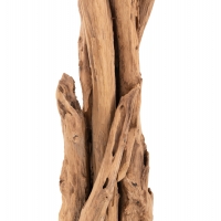 ΚΑΛΟΓΕΡΟΣ HM9367 ΑΠΟ ΜΑΣΙΦ ΞΥΛΟ TEAK ΦΥΣΙΚΟ 36x30x183Υεκ.
