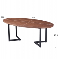 ΤΡΑΠΕΖΙ ΣΑΛΟΝΙΟΥ HM9468.02 MDF ME ΚΑΠΛΑΜΑ ΑΠΟ ΞΥΛΟ ΦΡΑΞΟΥ 120x60x45,5Yεκ. ΤΡΑΠΕΖΙ ΣΑΛΟΝΙΟΥ HM9468.02 MDF ME ΚΑΠΛΑΜΑ ΑΠΟ ΞΥΛΟ ΦΡΑΞΟΥ 120x60x45,5Yεκ.