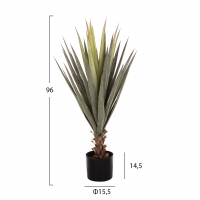 ΔΙΑΚΟΣΜΗΤΙΚΟ ΣΥΝΘΕΤΙΚΟ ΦΥΤΟ HM7986 SISAL AGAVE ΣΕ ΓΛΑΣΤΡΑ Φ15,5x14,5-96Υεκ. ΔΙΑΚΟΣΜΗΤΙΚΟ ΣΥΝΘΕΤΙΚΟ ΦΥΤΟ HM7986 SISAL AGAVE ΣΕ ΓΛΑΣΤΡΑ Φ15,5x14,5-96Υεκ.