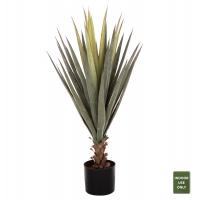 ΔΙΑΚΟΣΜΗΤΙΚΟ ΣΥΝΘΕΤΙΚΟ ΦΥΤΟ HM7986 SISAL AGAVE ΣΕ ΓΛΑΣΤΡΑ Φ15,5x14,5-96Υεκ. ΔΙΑΚΟΣΜΗΤΙΚΟ ΣΥΝΘΕΤΙΚΟ ΦΥΤΟ HM7986 SISAL AGAVE ΣΕ ΓΛΑΣΤΡΑ Φ15,5x14,5-96Υεκ.