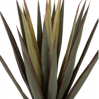ΔΙΑΚΟΣΜΗΤΙΚΟ ΣΥΝΘΕΤΙΚΟ ΦΥΤΟ HM7985 SISAL AGAVE ΣΕ ΓΛΑΣΤΡΑ Φ13,5x13-76Υεκ. ΔΙΑΚΟΣΜΗΤΙΚΟ ΣΥΝΘΕΤΙΚΟ ΦΥΤΟ HM7985 SISAL AGAVE ΣΕ ΓΛΑΣΤΡΑ Φ13,5x13-76Υεκ.