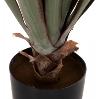 ΔΙΑΚΟΣΜΗΤΙΚΟ ΣΥΝΘΕΤΙΚΟ ΦΥΤΟ HM7985 SISAL AGAVE ΣΕ ΓΛΑΣΤΡΑ Φ13,5x13-76Υεκ. ΔΙΑΚΟΣΜΗΤΙΚΟ ΣΥΝΘΕΤΙΚΟ ΦΥΤΟ HM7985 SISAL AGAVE ΣΕ ΓΛΑΣΤΡΑ Φ13,5x13-76Υεκ.