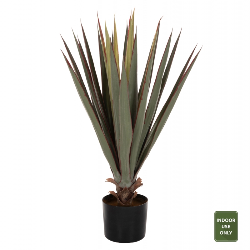 ΔΙΑΚΟΣΜΗΤΙΚΟ ΣΥΝΘΕΤΙΚΟ ΦΥΤΟ HM7985 SISAL AGAVE ΣΕ ΓΛΑΣΤΡΑ Φ13,5x13-76Υεκ. ΔΙΑΚΟΣΜΗΤΙΚΟ ΣΥΝΘΕΤΙΚΟ ΦΥΤΟ HM7985 SISAL AGAVE ΣΕ ΓΛΑΣΤΡΑ Φ13,5x13-76Υεκ.
