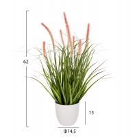 ΔΙΑΚΟΣΜΗΤΙΚΟ ΣΥΝΘΕΤΙΚΟ ΦΥΤΟ HM4029 BRISTLEGRASS ΣΕ ΓΛΑΣΤΡΑ Φ14,5x13-62Yεκ. ΔΙΑΚΟΣΜΗΤΙΚΟ ΣΥΝΘΕΤΙΚΟ ΦΥΤΟ HM4029 BRISTLEGRASS ΣΕ ΓΛΑΣΤΡΑ Φ14,5x13-62Yεκ.