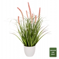 ΔΙΑΚΟΣΜΗΤΙΚΟ ΣΥΝΘΕΤΙΚΟ ΦΥΤΟ HM4029 BRISTLEGRASS ΣΕ ΓΛΑΣΤΡΑ Φ14,5x13-62Yεκ. ΔΙΑΚΟΣΜΗΤΙΚΟ ΣΥΝΘΕΤΙΚΟ ΦΥΤΟ HM4029 BRISTLEGRASS ΣΕ ΓΛΑΣΤΡΑ Φ14,5x13-62Yεκ.