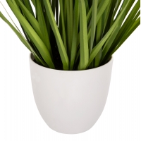 ΔΙΑΚΟΣΜΗΤΙΚΟ ΣΥΝΘΕΤΙΚΟ ΦΥΤΟ HM4029 BRISTLEGRASS ΣΕ ΓΛΑΣΤΡΑ Φ14,5x13-62Yεκ. ΔΙΑΚΟΣΜΗΤΙΚΟ ΣΥΝΘΕΤΙΚΟ ΦΥΤΟ HM4029 BRISTLEGRASS ΣΕ ΓΛΑΣΤΡΑ Φ14,5x13-62Yεκ.