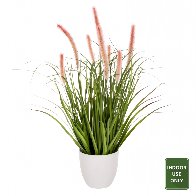 ΔΙΑΚΟΣΜΗΤΙΚΟ ΣΥΝΘΕΤΙΚΟ ΦΥΤΟ HM4029 BRISTLEGRASS ΣΕ ΓΛΑΣΤΡΑ Φ14,5x13-62Yεκ. ΔΙΑΚΟΣΜΗΤΙΚΟ ΣΥΝΘΕΤΙΚΟ ΦΥΤΟ HM4029 BRISTLEGRASS ΣΕ ΓΛΑΣΤΡΑ Φ14,5x13-62Yεκ.