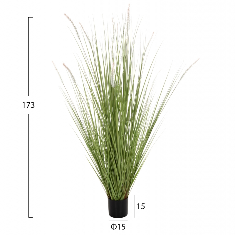 ΔΙΑΚΟΣΜΗΤΙΚΟ ΣΥΝΘΕΤΙΚΟ ΦΥΤΟ HM4017 BRISTLEGRASS ΣΕ ΓΛΑΣΤΡΑ 173Υεκ.