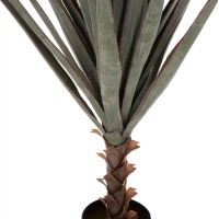 ΔΙΑΚΟΣΜΗΤΙΚΟ ΣΥΝΘΕΤΙΚΟ ΦΥΤΟ HM7987 SISAL AGAVE ΣΕ ΓΛΑΣΤΡΑ 120Υεκ. ΔΙΑΚΟΣΜΗΤΙΚΟ ΣΥΝΘΕΤΙΚΟ ΦΥΤΟ HM7987 SISAL AGAVE ΣΕ ΓΛΑΣΤΡΑ 120Υεκ.