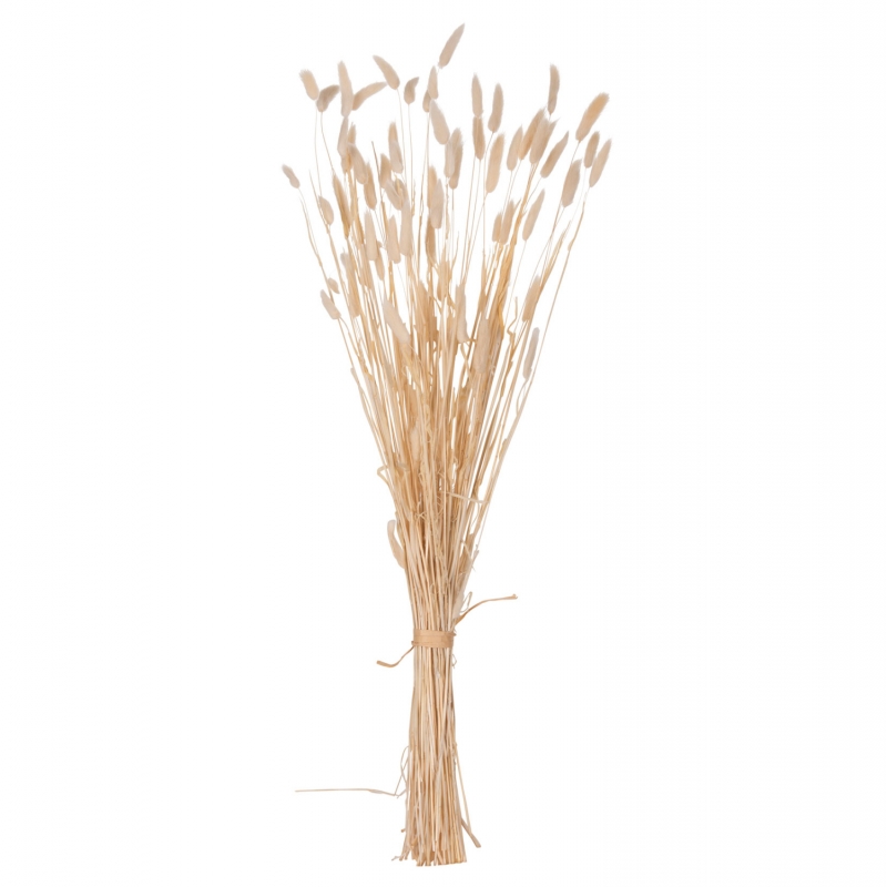 ΔΙΑΚΟΣΜΗΤΙΚΟ ΜΠΟΥΚΕΤΟ ΑΠΟΞΗΡΑΜΕΝΟ HM7959 RABBIT TAIL- CREAM 50gr 76Υεκ. ΔΙΑΚΟΣΜΗΤΙΚΟ ΜΠΟΥΚΕΤΟ ΑΠΟΞΗΡΑΜΕΝΟ HM7959 RABBIT TAIL- CREAM 50gr 76Υεκ.
