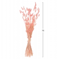 ΔΙΑΚΟΣΜΗΤΙΚΟ ΜΠΟΥΚΕΤΟ ΑΠΟΞΗΡΑΜΕΝΟ HM7960 RABBIT TAIL-PINK 75Υεκ. ΔΙΑΚΟΣΜΗΤΙΚΟ ΜΠΟΥΚΕΤΟ ΑΠΟΞΗΡΑΜΕΝΟ HM7960 RABBIT TAIL-PINK 75Υεκ.
