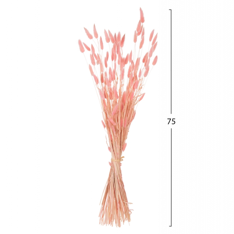 ΔΙΑΚΟΣΜΗΤΙΚΟ ΜΠΟΥΚΕΤΟ ΑΠΟΞΗΡΑΜΕΝΟ HM7960 RABBIT TAIL-PINK 75Υεκ. ΔΙΑΚΟΣΜΗΤΙΚΟ ΜΠΟΥΚΕΤΟ ΑΠΟΞΗΡΑΜΕΝΟ HM7960 RABBIT TAIL-PINK 75Υεκ.