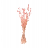 ΔΙΑΚΟΣΜΗΤΙΚΟ ΜΠΟΥΚΕΤΟ ΑΠΟΞΗΡΑΜΕΝΟ HM7960 RABBIT TAIL-PINK 75Υεκ. ΔΙΑΚΟΣΜΗΤΙΚΟ ΜΠΟΥΚΕΤΟ ΑΠΟΞΗΡΑΜΕΝΟ HM7960 RABBIT TAIL-PINK 75Υεκ.