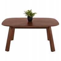 ΤΡΑΠΕΖΙ ΣΑΛΟΝΙΟΥ RINER HM9738 MDF ΜΕ ΚΑΠΛΑΜΑ ΚΑΡΥΔΙΑΣ 100x100x45Yεκ.