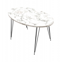 ΤΡΑΠΕΖΙ ΣΑΛΟΝΙΟΥ GRANIT HM18177.01 ΜΕΛΑΜΙΝΗ ΛΕΥΚΟ ΜΑΡΜΑΡΟ-ΜΕΤΑΛ.ΠΟΔΙΑ 90x50x42Υεκ ΤΡΑΠΕΖΙ ΣΑΛΟΝΙΟΥ GRANIT HM18177.01 ΜΕΛΑΜΙΝΗ ΛΕΥΚΟ ΜΑΡΜΑΡΟ-ΜΕΤΑΛ.ΠΟΔΙΑ 90x50x42Υεκ