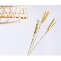 Andrea House - Αποξηραμένα Λουλούδια Wheat Natural 60cm