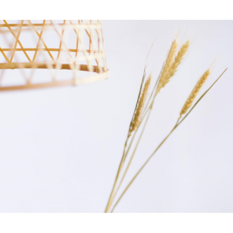 Andrea House - Αποξηραμένα Λουλούδια Wheat Natural 60cm