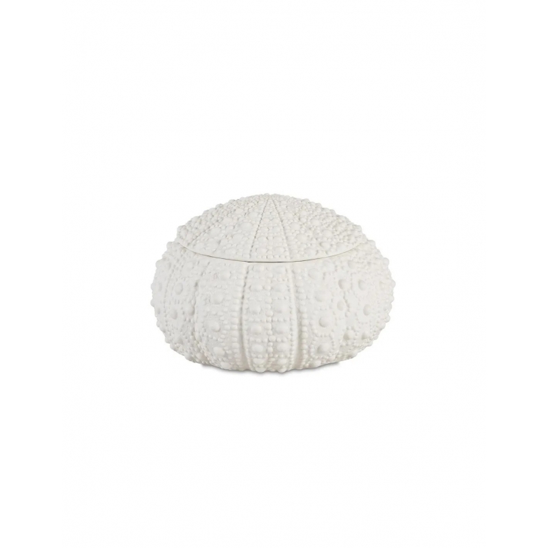 Andrea House - Κουτί Κοσμημάτων Sea Urchin D19cm