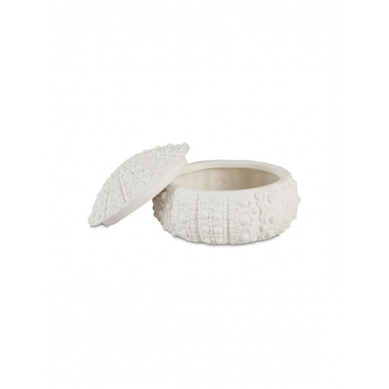 Andrea House - Κουτί Κοσμημάτων Sea Urchin D19cm