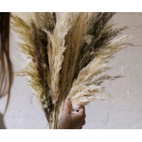 Andrea House - Αποξηραμένα Λουλούδια 3τμχ Pampas Natural 95cm Andrea House - Αποξηραμένα Λουλούδια 3τμχ Pampas Natural 95cm