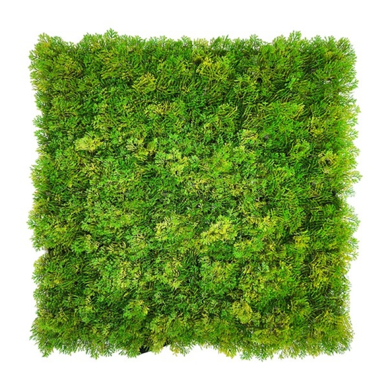ΠΑΝΕΛ ΦΥΛΛΩΣΙΑΣ MOSS 50 Χ 50 A509 NewPlan ΠΑΝΕΛ ΦΥΛΛΩΣΙΑΣ MOSS 50 Χ 50 A509 NewPlan