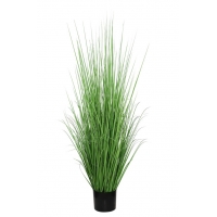 ONION GRASS TREE NP1011_120 ΥΨΟΣ 120cm NewPlan ONION GRASS TREE NP1011_120 ΥΨΟΣ 120cm NewPlan