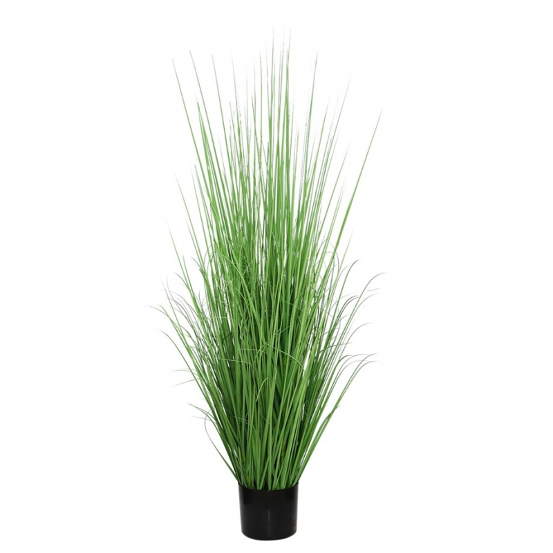 ONION GRASS TREE NP1011_120 ΥΨΟΣ 120cm NewPlan ONION GRASS TREE NP1011_120 ΥΨΟΣ 120cm NewPlan
