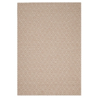ΧΑΛΙ  CANVAS  1066B - 080X150  NewPlan