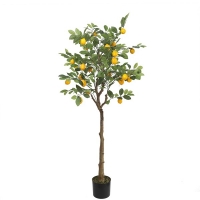 LEMON TREE NP_30_170 ΥΨΟΣ 170cm NewPlan LEMON TREE NP_30_170 ΥΨΟΣ 170cm NewPlan