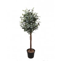 OLIVE TREE NP459_120 ΥΨΟΣ 120cm NewPlan OLIVE TREE NP459_120 ΥΨΟΣ 120cm NewPlan