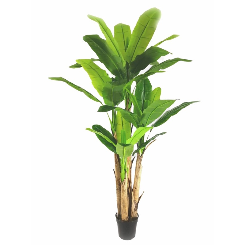 BANANA TREE NP018_280_22 ΥΨΟΣ 280cm NewPlan BANANA TREE NP018_280_22 ΥΨΟΣ 280cm NewPlan