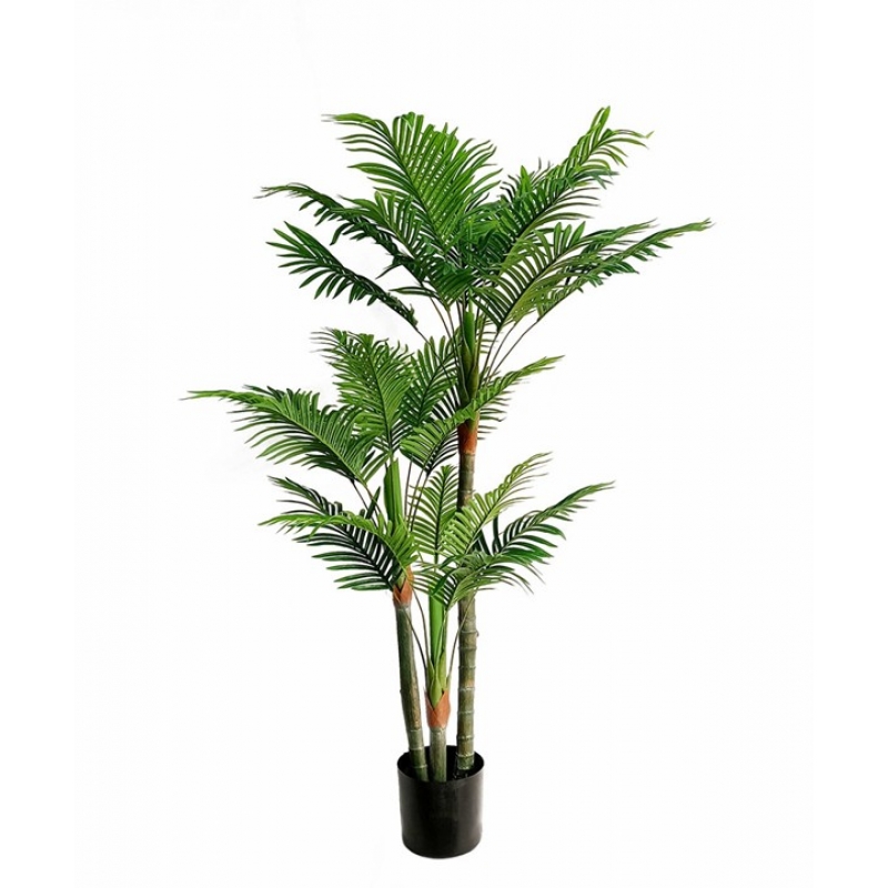 PALM TREE NP0268_170 ΥΨΟΣ 170cm NewPlan PALM TREE NP0268_170 ΥΨΟΣ 170cm NewPlan