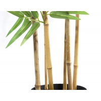 BAMBOO NP5801_150_22_UV ΥΨΟΣ 150cm NewPlan BAMBOO NP5801_150_22_UV ΥΨΟΣ 150cm NewPlan