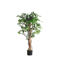 FICUS TREE NP0078_120 YΨΟΣ 120cm NewPlan FICUS TREE NP0078_120 YΨΟΣ 120cm NewPlan