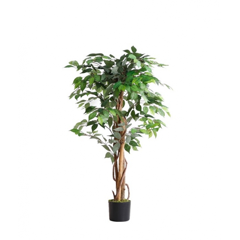 FICUS TREE NP0078_120 YΨΟΣ 120cm NewPlan FICUS TREE NP0078_120 YΨΟΣ 120cm NewPlan