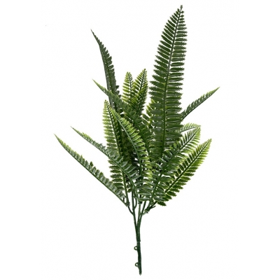 ΔΙΑΚΟΣΜΗΤΙΚΟ ΜΠΟΥΚΕΤΟ (SET 10ΤΜΧ) AMALFI W027 SPLEENWORT NewPlan ΔΙΑΚΟΣΜΗΤΙΚΟ ΜΠΟΥΚΕΤΟ (SET 10ΤΜΧ) AMALFI W027 SPLEENWORT NewPlan