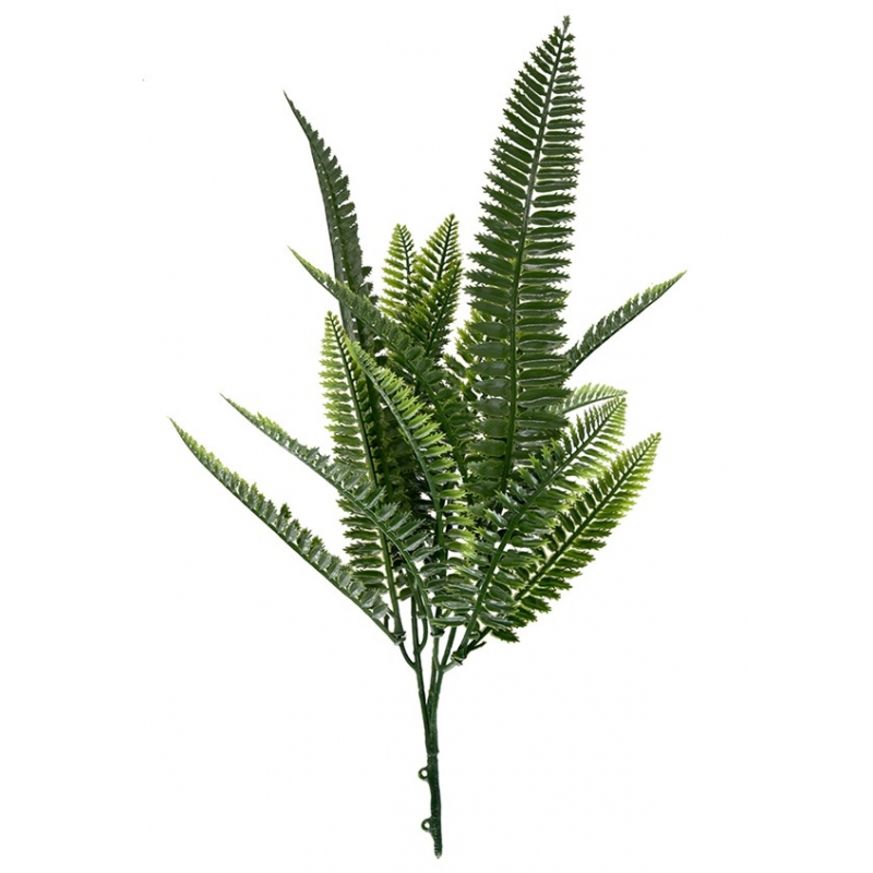 ΔΙΑΚΟΣΜΗΤΙΚΟ ΜΠΟΥΚΕΤΟ (SET 10ΤΜΧ) AMALFI W027 SPLEENWORT NewPlan ΔΙΑΚΟΣΜΗΤΙΚΟ ΜΠΟΥΚΕΤΟ (SET 10ΤΜΧ) AMALFI W027 SPLEENWORT NewPlan