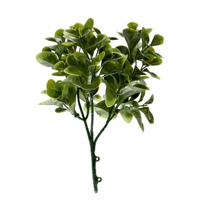 ΔΙΑΚΟΣΜΗΤΙΚΟ ΜΠΟΥΚΕΤΟ (SET 10ΤΜΧ) AMALFI W004 JADE LEAF NewPlan ΔΙΑΚΟΣΜΗΤΙΚΟ ΜΠΟΥΚΕΤΟ (SET 10ΤΜΧ) AMALFI W004 JADE LEAF NewPlan