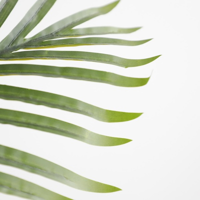 PALM TREE NP5501_210_22 ΥΨΟΣ 210cm NewPlan PALM TREE NP5501_210_22 ΥΨΟΣ 210cm NewPlan