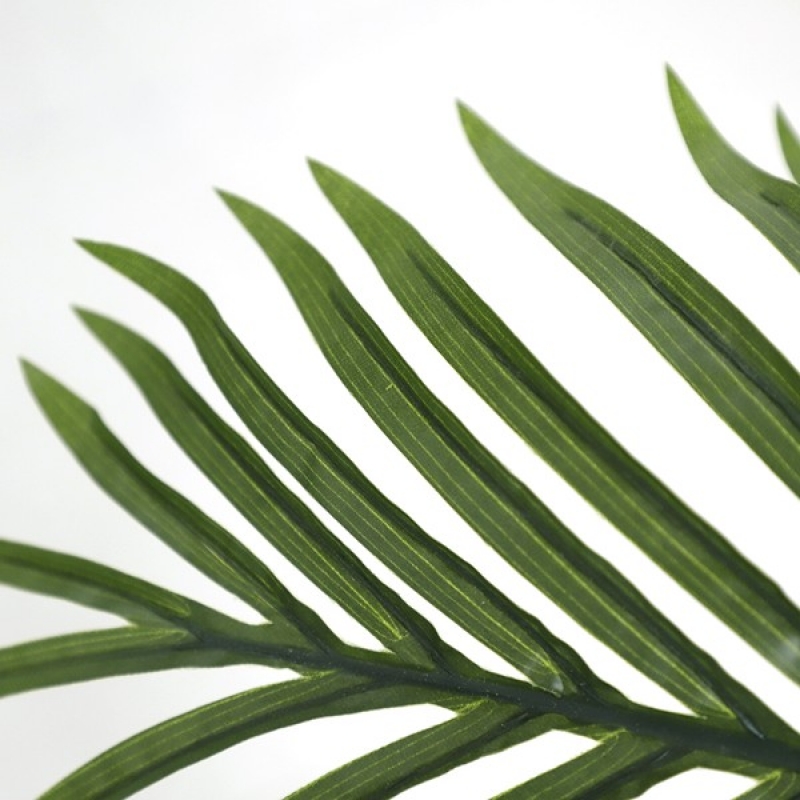 PALM TREE NP0268_170 ΥΨΟΣ 170cm NewPlan PALM TREE NP0268_170 ΥΨΟΣ 170cm NewPlan