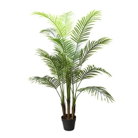 PALM TREE NP0266_140 ΥΨΟΣ 140cm PALM TREE NP0266_140 ΥΨΟΣ 140cm