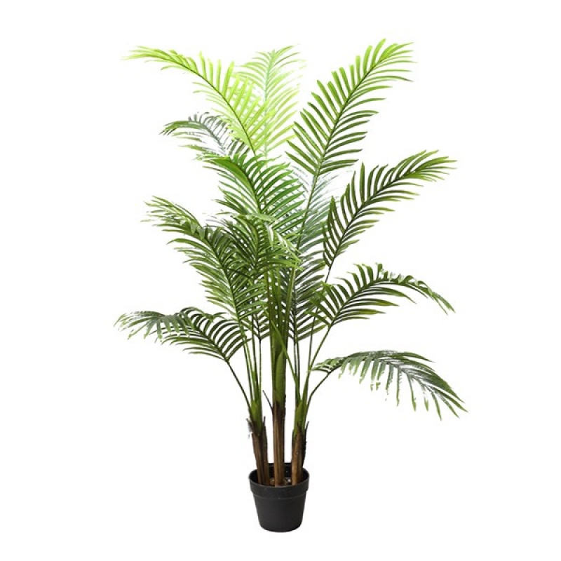 PALM TREE NP0266_140 ΥΨΟΣ 140cm PALM TREE NP0266_140 ΥΨΟΣ 140cm