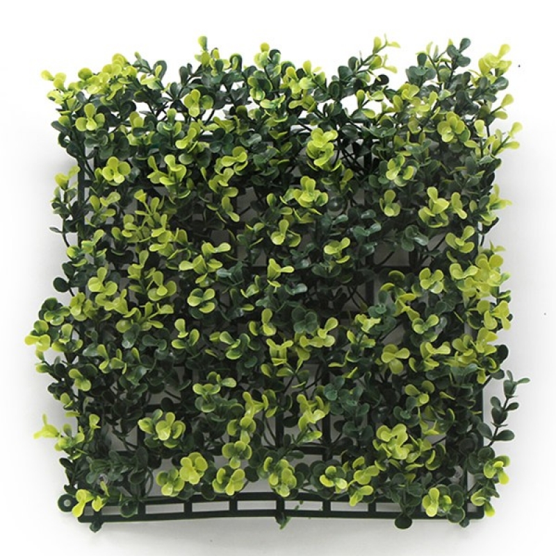 ΠΑΝΕΛ ΦΥΛΛΩΣΙΑΣ BERLIN 50 Χ 50 A003 BUXUS NewPlan ΠΑΝΕΛ ΦΥΛΛΩΣΙΑΣ BERLIN 50 Χ 50 A003 BUXUS NewPlan